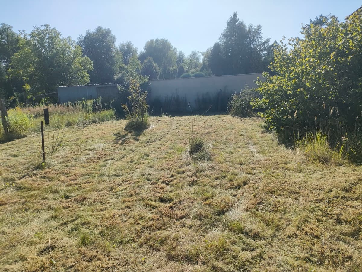 Działka po pierwszym przejściu kosą